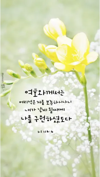 시편 61장 2절 읽기 - 내 마음이 약해질 때에 내가 땅 끝에서부터 주께 부르짖으리니_4