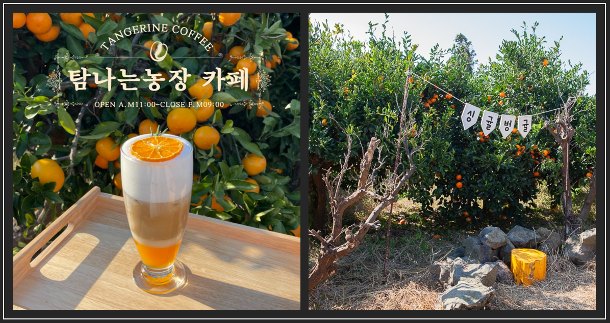 제주 탐나는 농장 (제공 : 인스타그램)