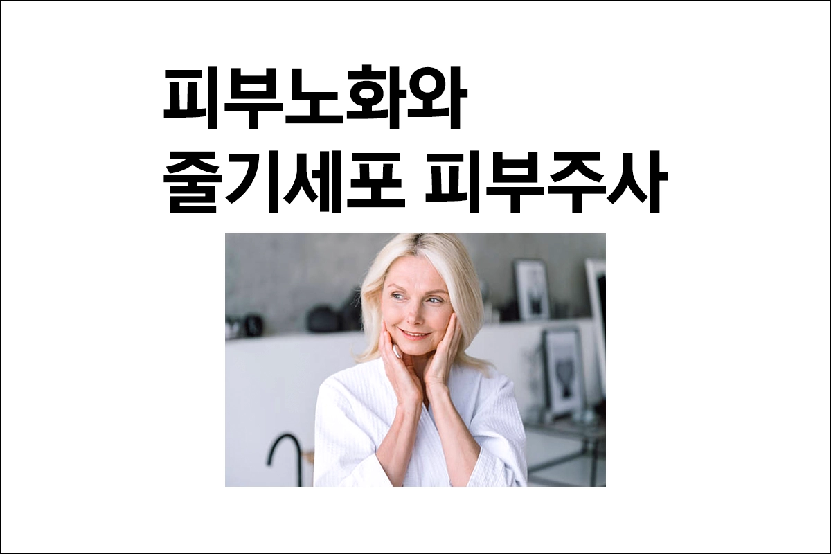 피부노화와 줄기세포 피부주사