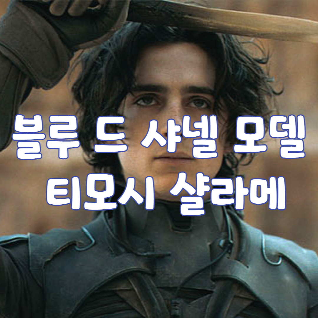 티모시 샬라메