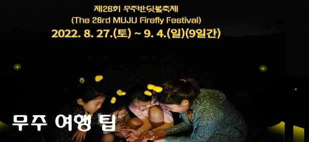 무주 가볼만한 곳 반딧불 축제