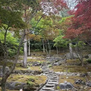 화담숲-입장료-반딧불이-이벤트-예약-기간