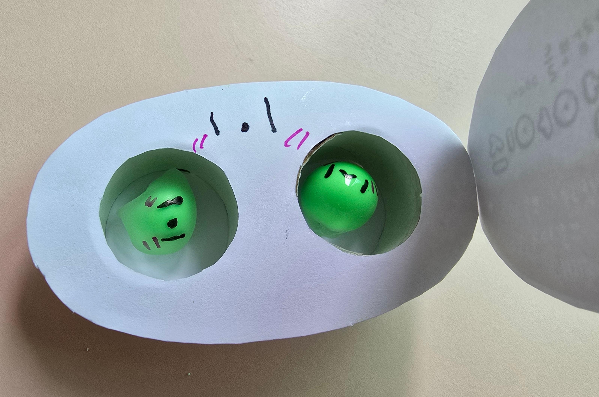 첫찌가 꾸며준 말랑이 사진