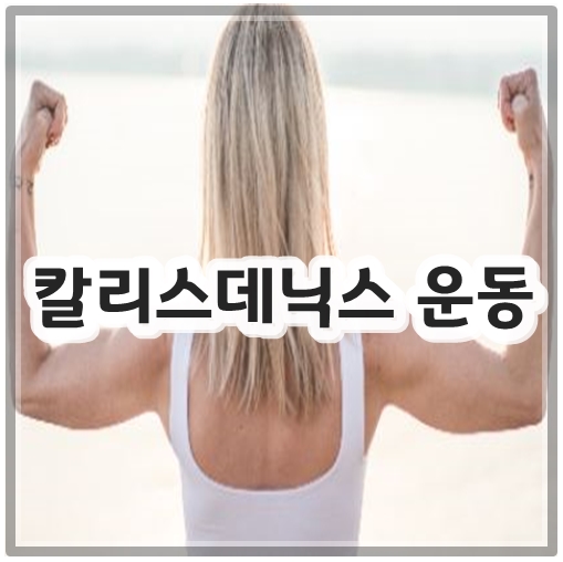 칼리스데닉스 운동