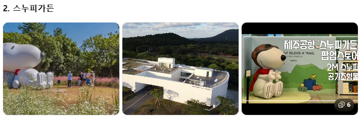 제주 쏠라티&middot;카니발 투어 비교! 기사 포함 제주 승합차투어 요금&middot;코스&middot;후기 총정리