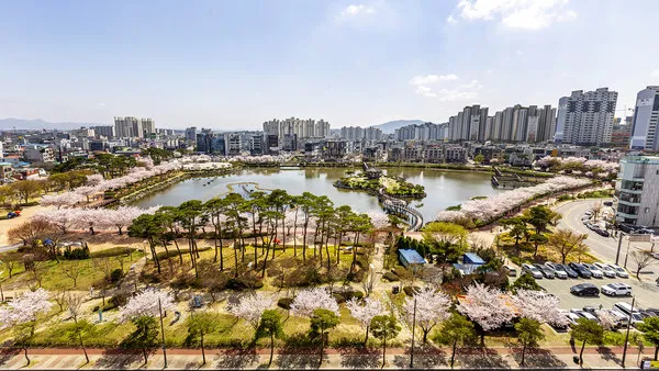 봄꽃 여행 성지 충남 서산 명소 BEST5_7