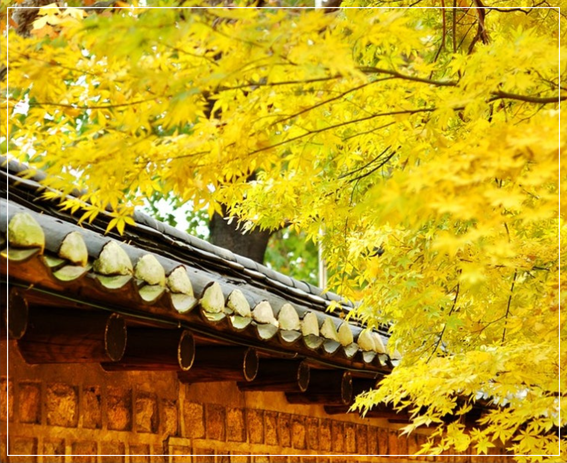 단풍-창경궁-창덕궁