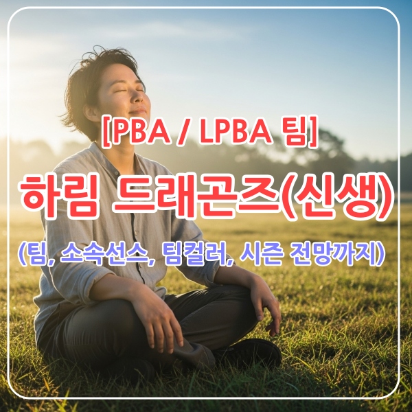 하림드래곤즈팀분석