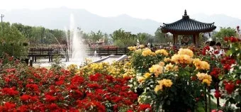 곡성 가볼만한곳 베스트10 기차마을 섬진강길 카페 산책_20