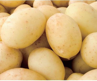 역류성식도염에 좋은 음식