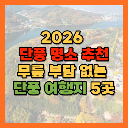 단풍명소, 가을여행, 5060여행, 무릎편한단풍명소, 화담숲, 문광저수지은행나무길, 내장산단풍생태공원, 남이섬, 운곡서원, 은행나무명소, 2026단풍, 단풍절정시기, 어르신단풍여행, 국내가을여행지, 2026단풍절정예측, 산림청단풍예측, 화담숲예약, 화담숲모노레일, 문광저수지주차, 양곡은행나무축제, 내장산단풍시기, 남이섬입장료, 남이섬주차, 운곡서원은행나무, 경주은행나무명소, 단풍여행코스, 단풍여행준비물, 부모님단풍여행, 무료단풍명소, 황금길가이드