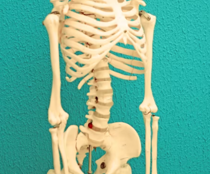 골다공증 초기증상 원인 치료방법