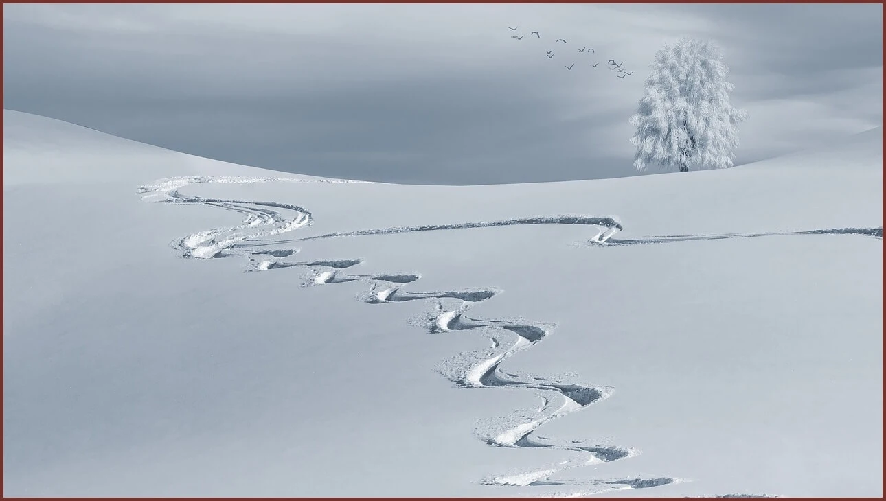 적금 금리 높은곳