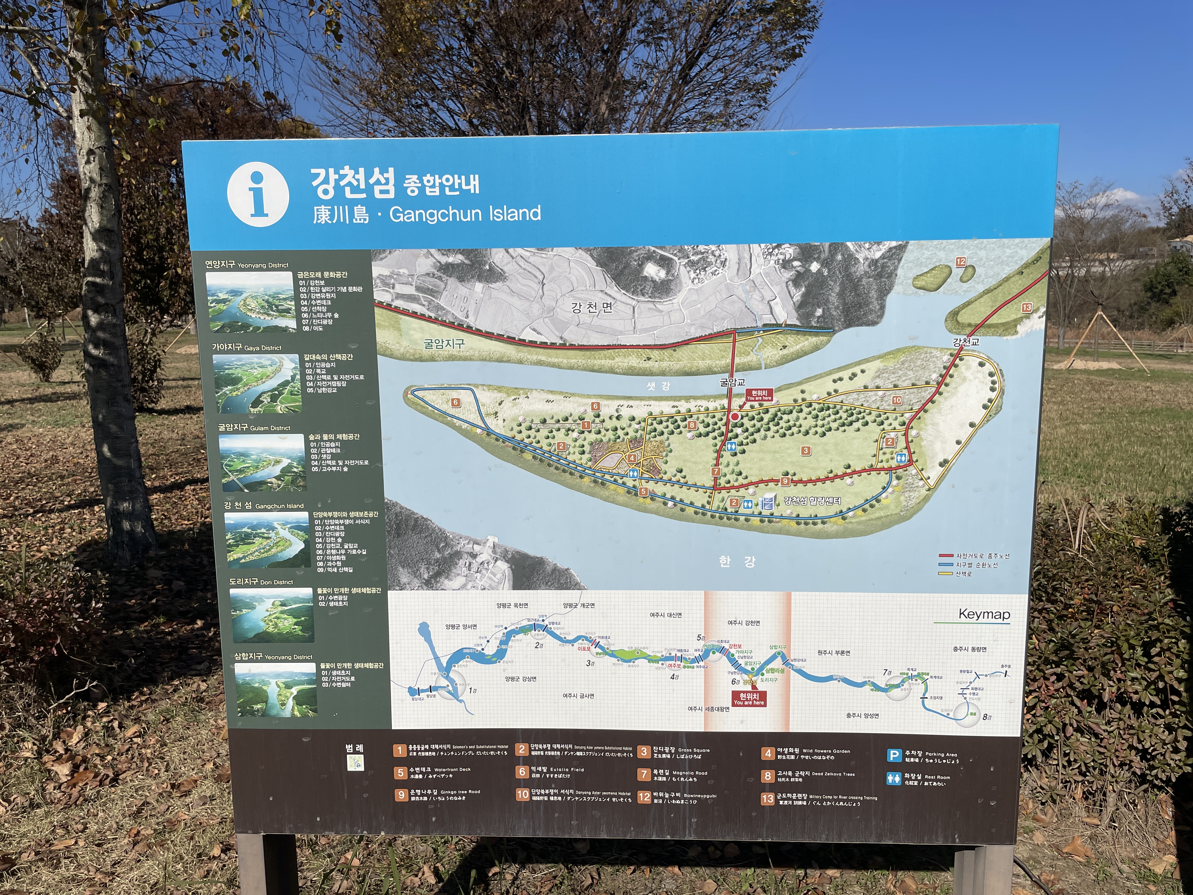 단풍놀이 강천섬