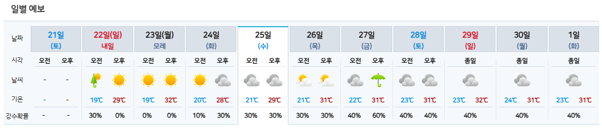 대구 날씨예보
