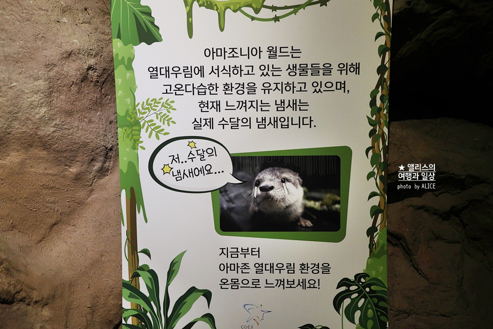 코엑스 아쿠아리움 입장권 할인예약 방법, 대중교통 가는 방법, 참물범 펭귄 비버 상어 보러가자!