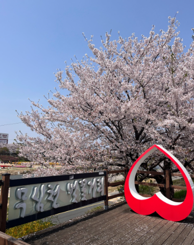 무심천2