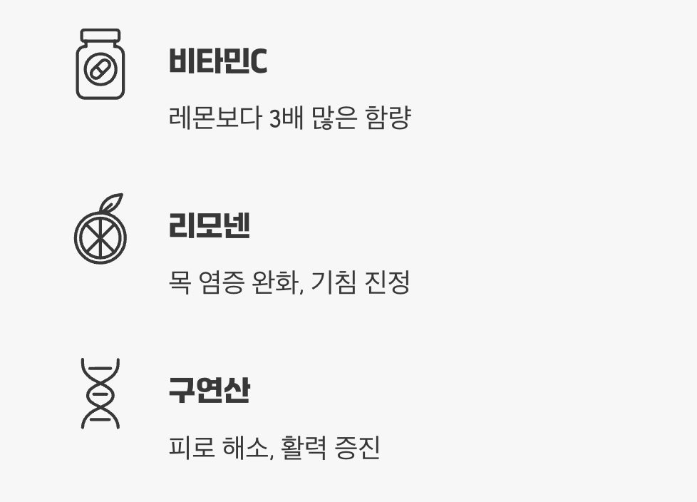 1. 레몬보다 3배! 감기 잡는 비타민 폭탄