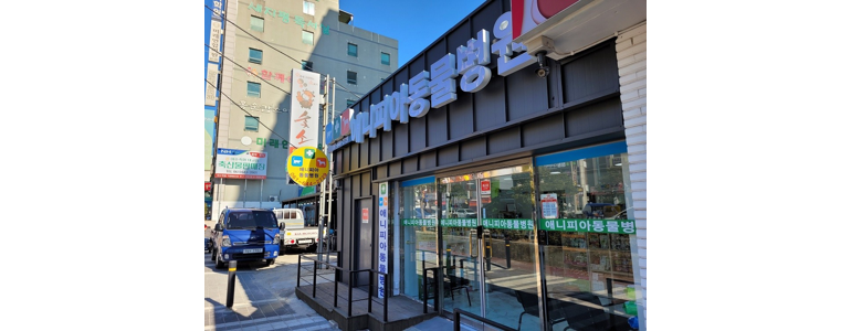 여수시 동물병원