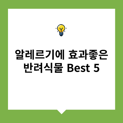 알레르기에 효과 좋은 반려식물 Best 5