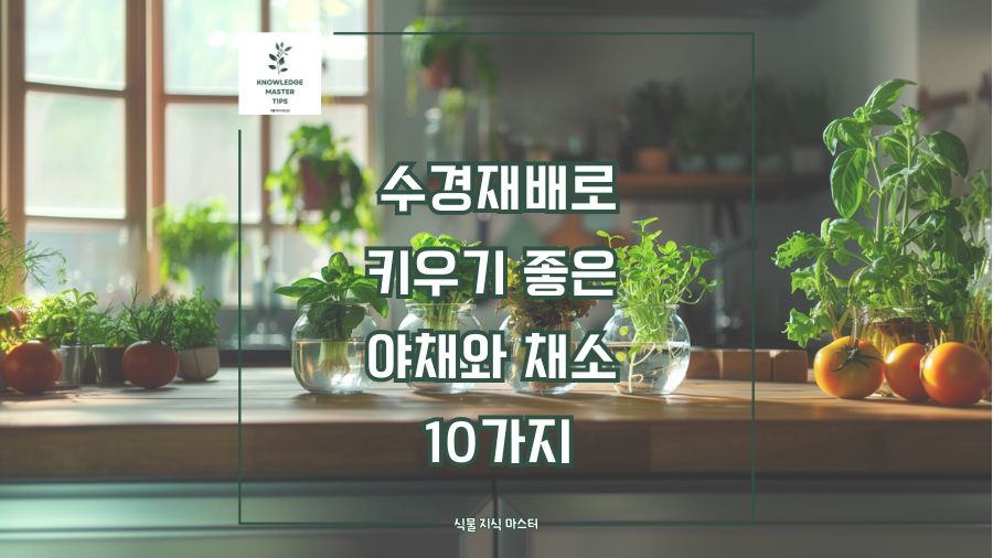 수경재배로 키우기 좋은 야채와 채소 10가지