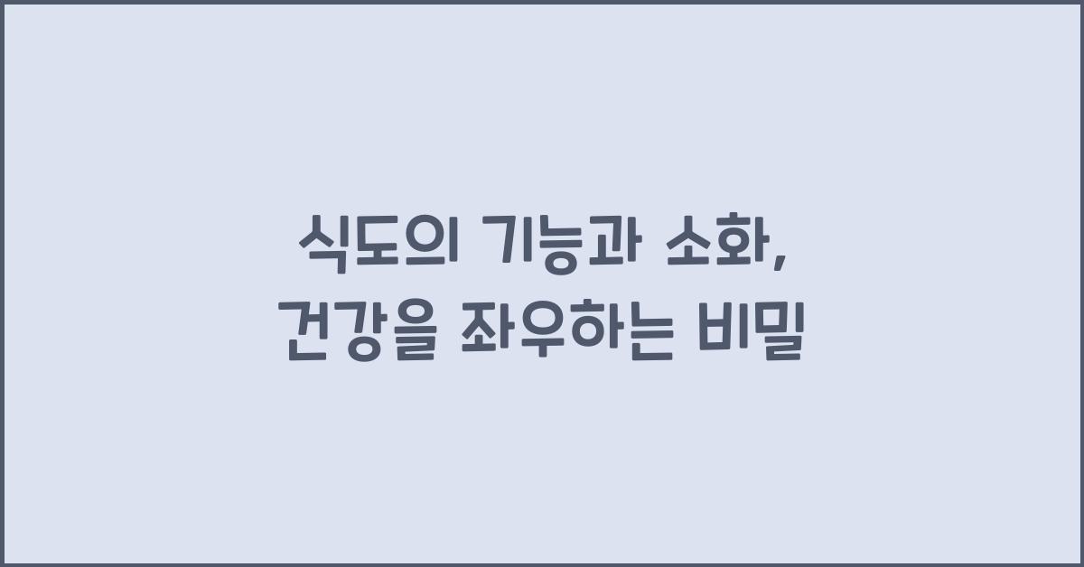식도의 기능과 소화