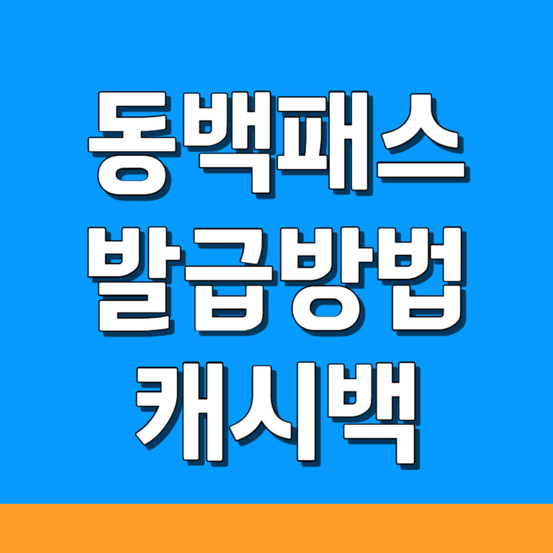 동백전 교통카드 발급 캐시백 받는 방법