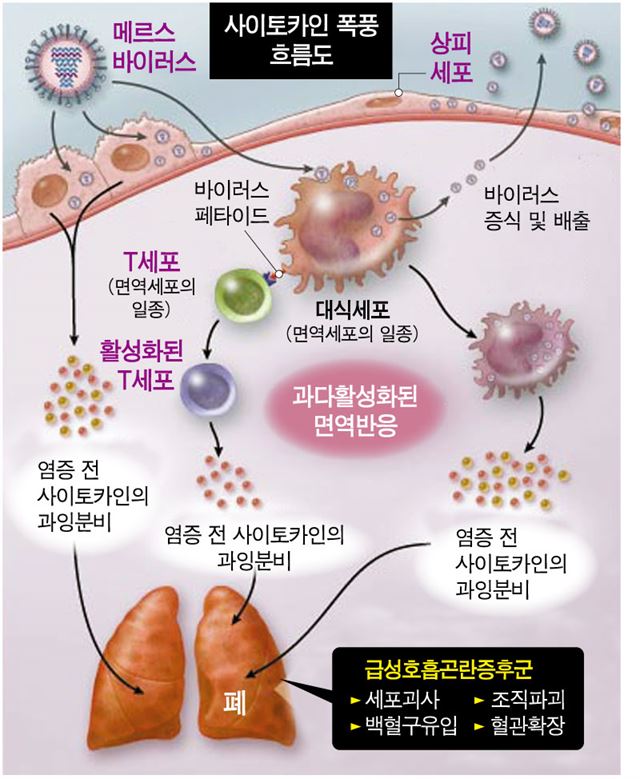 사이토카인폭풍02
