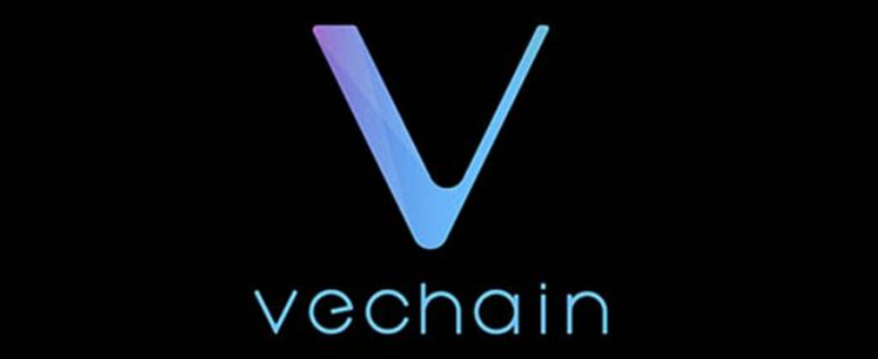 비체인코인 관련 사진