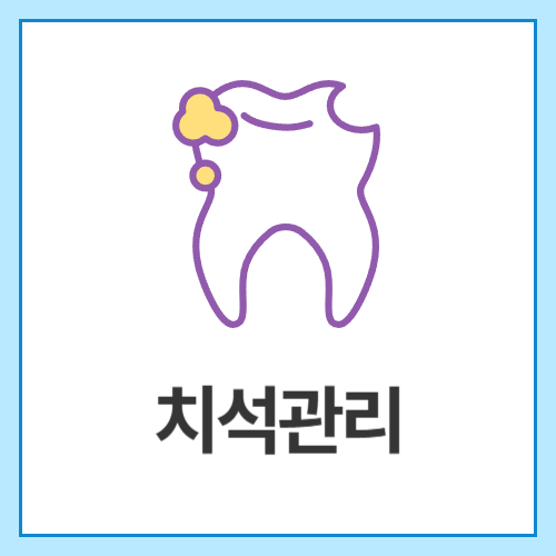 치석관리