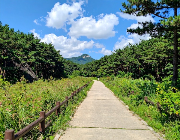 국립자연휴양림 벤치에서 쉬는 가족