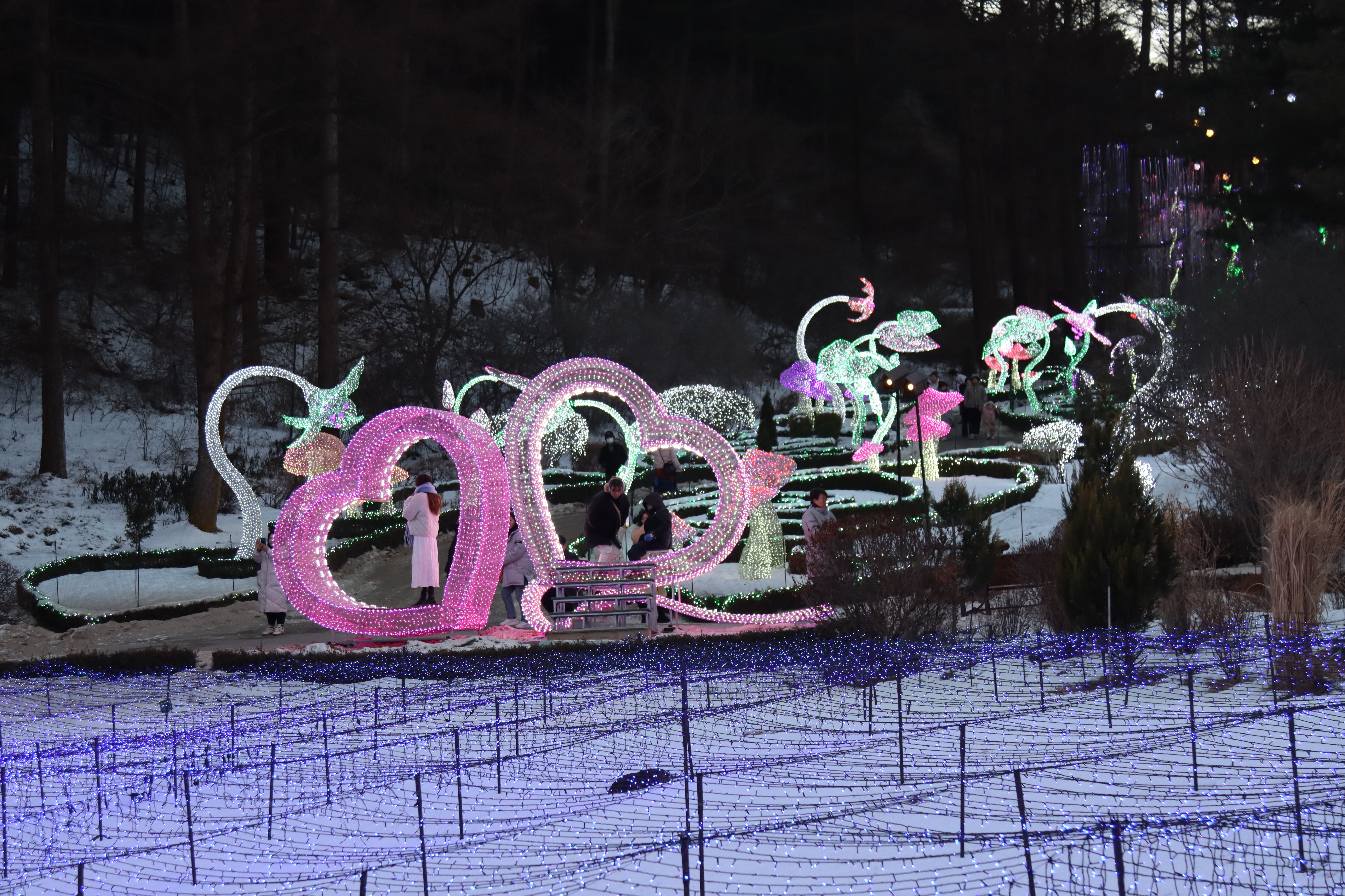 아침고요수목원