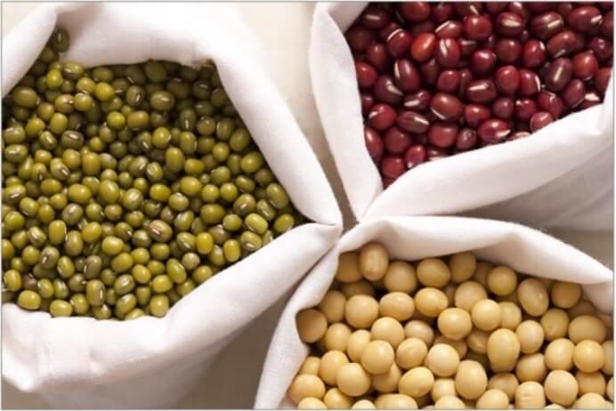 림프종 좋은음식-콩