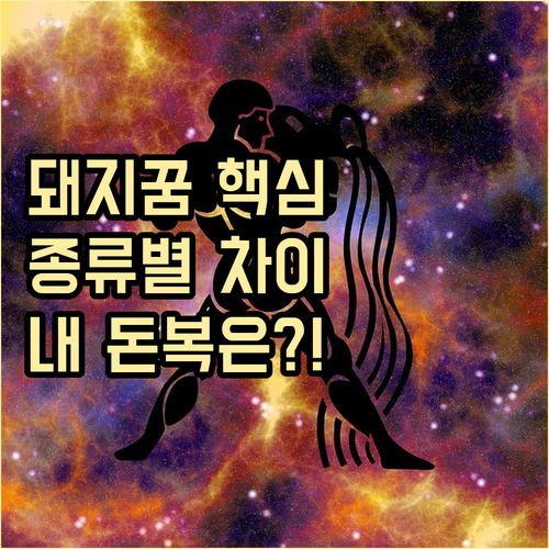 흑돼지, 흰 돼지, 새끼 돼지: 종류..