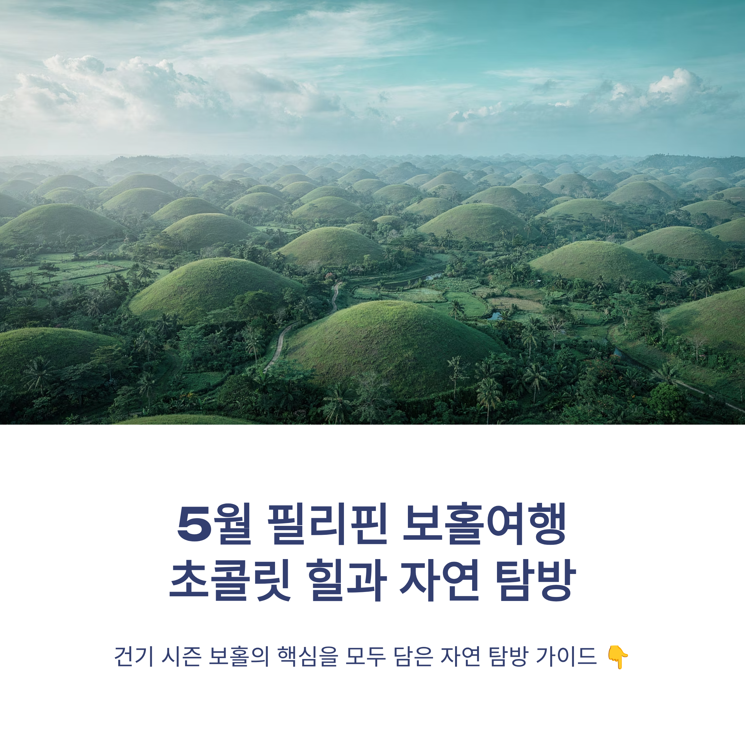 5월 필리핀 보홀여행 초콜릿 힐과 자연 탐방