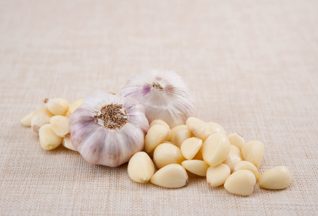 신장에 좋은음식 마늘과 허브