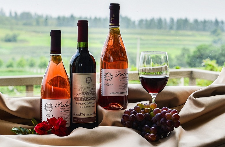 말벡 와인 관련 사진