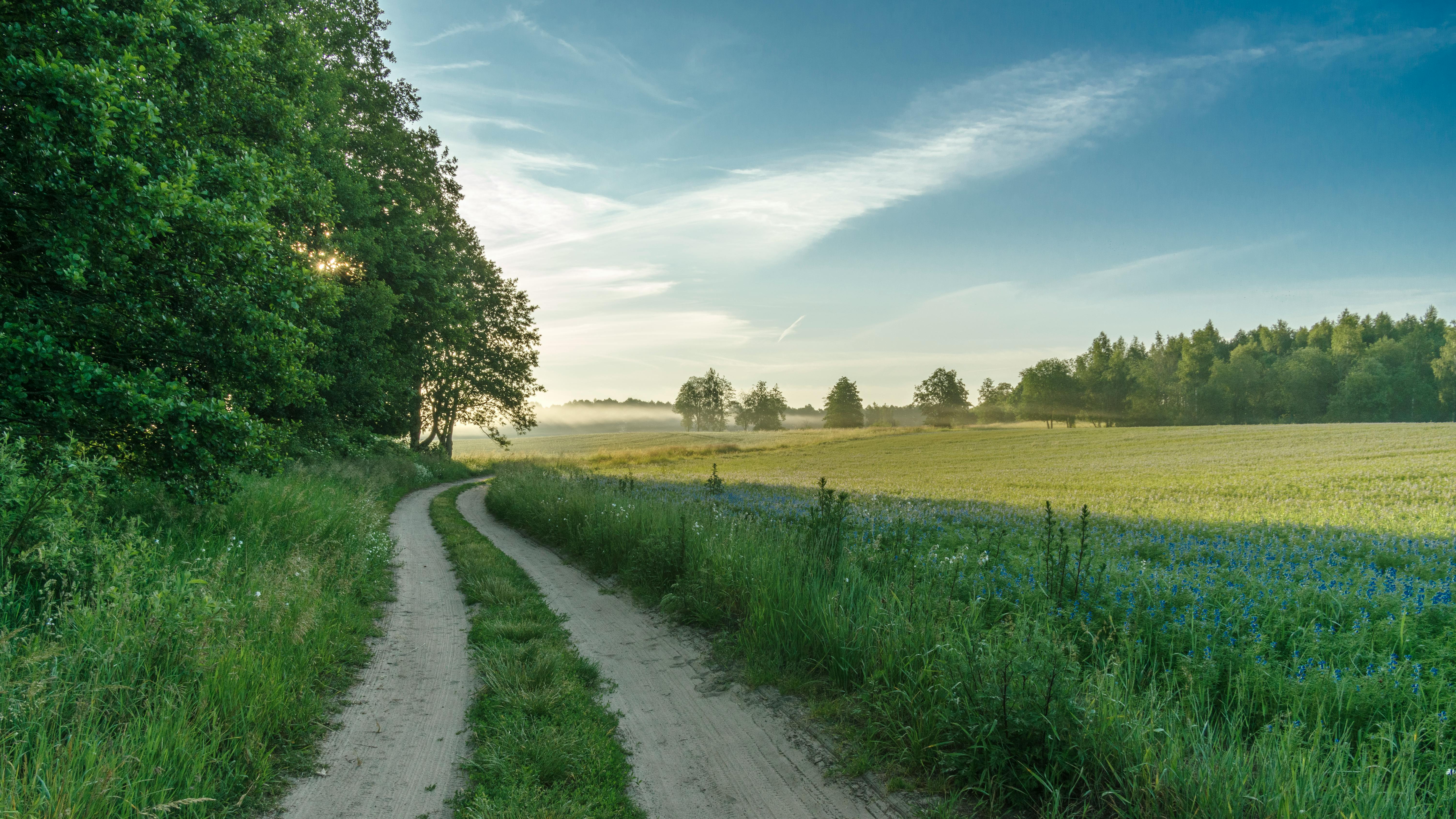 2025년 8월 22일 금요일 띠별 운세: 나에게 필요한 내일의 길흉 한눈에 보기