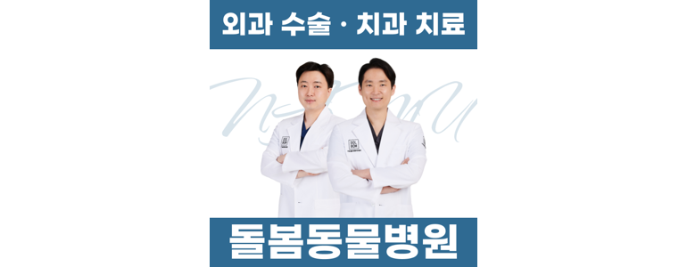 수원 팔달구 동물병원