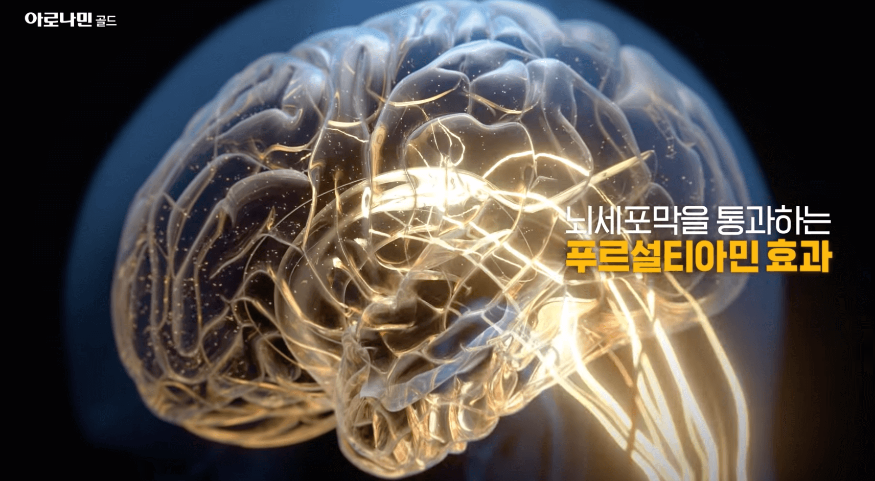 피로회복-아로나민-효과