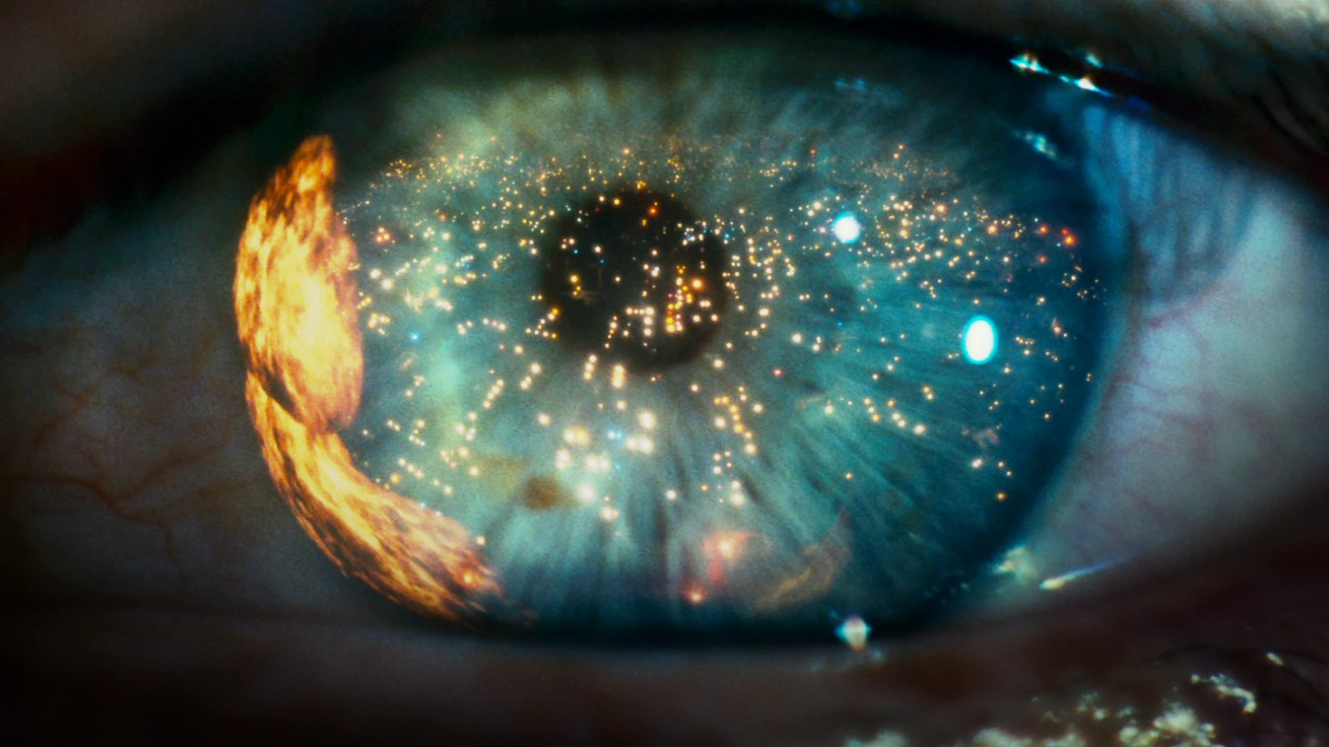 한국 영화의 &lsquo;감정 연출&rsquo;은 왜 세계에서 통할까 관련 사진