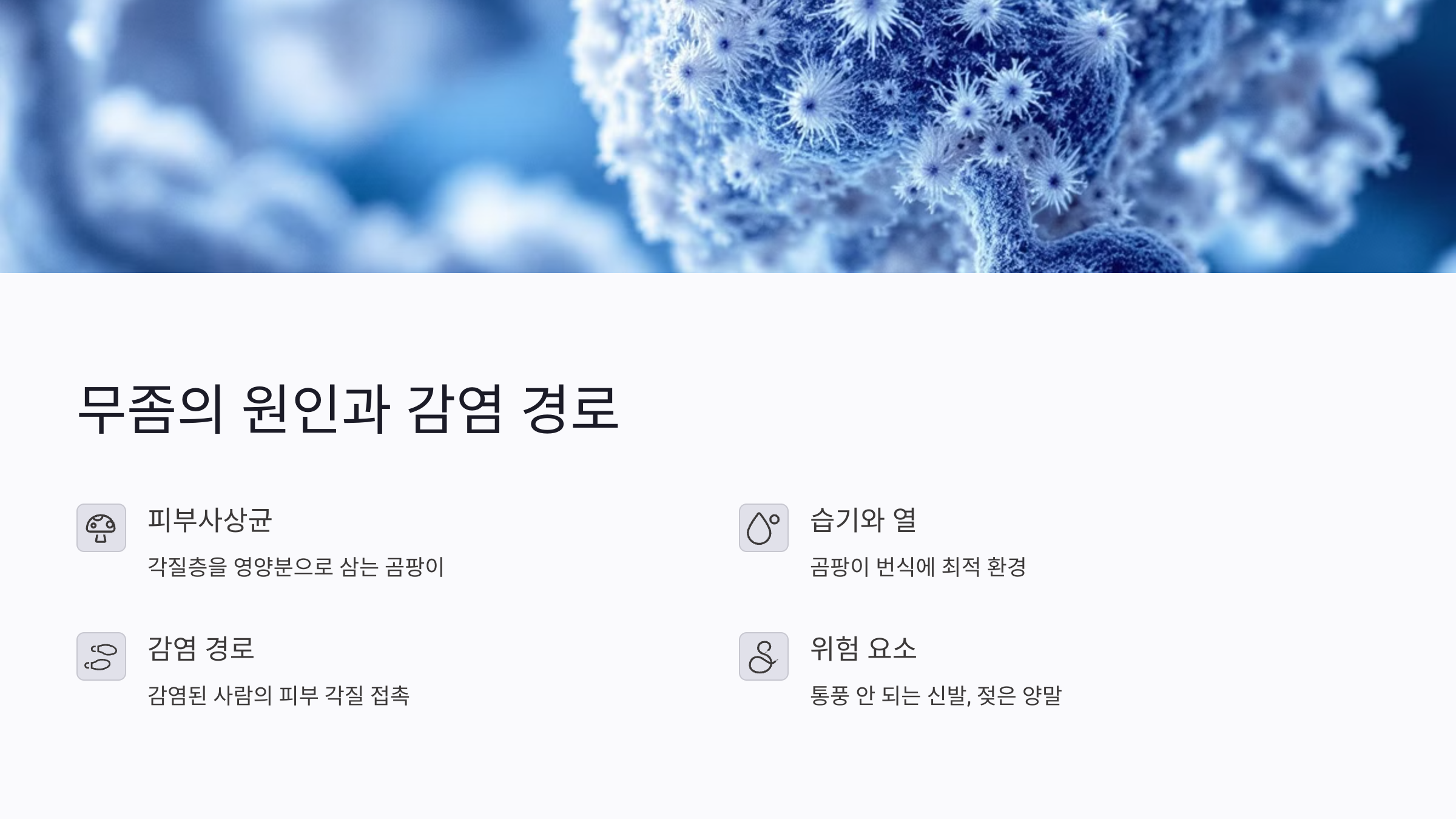 무좀은 왜 생기나? 감염 원인과 곰팡이 종류