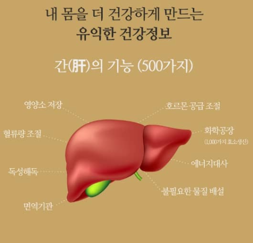 간 기능 이미지