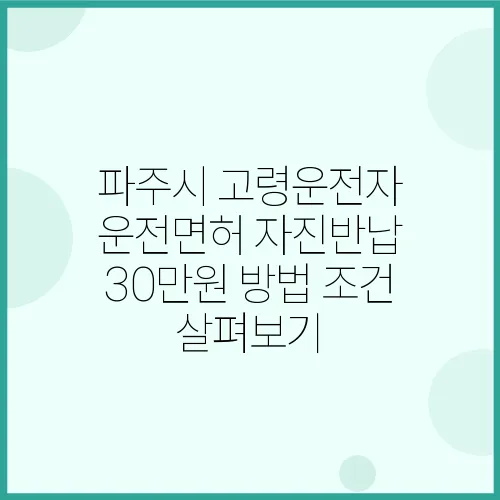 파주시 고령운전자 운전면허 자진반납 30만원 방법 조건 살펴보기
