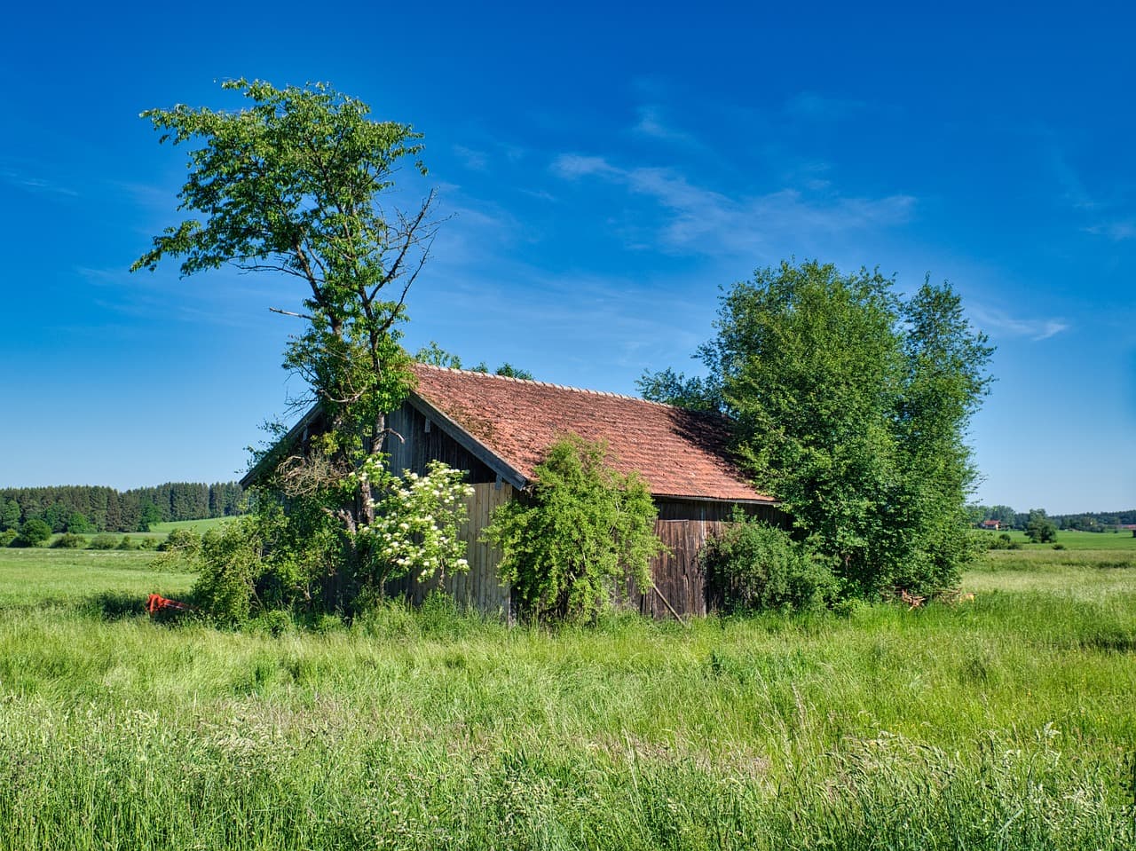 미래의 투자자는 AI다! 자동화 트레이딩으로 돈 버는 시대