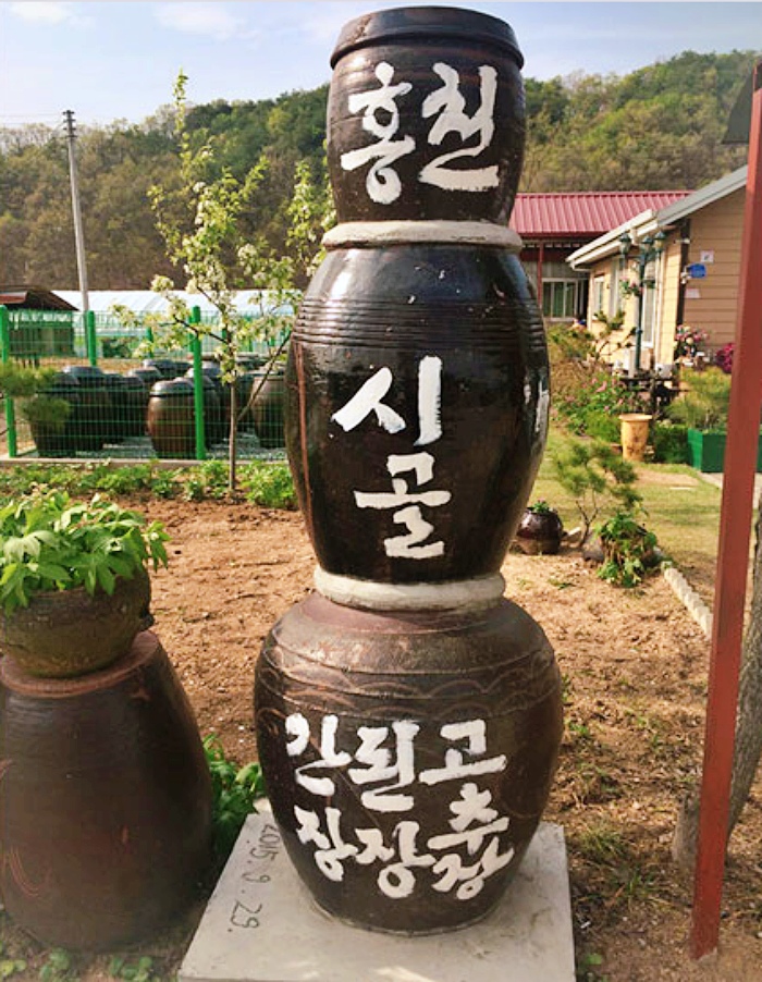 생방송 오늘저녁 홍천 막장 맛집
