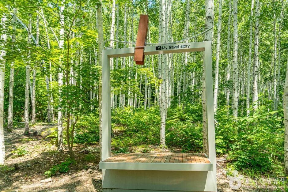 영양 가볼만한곳 베스트 10