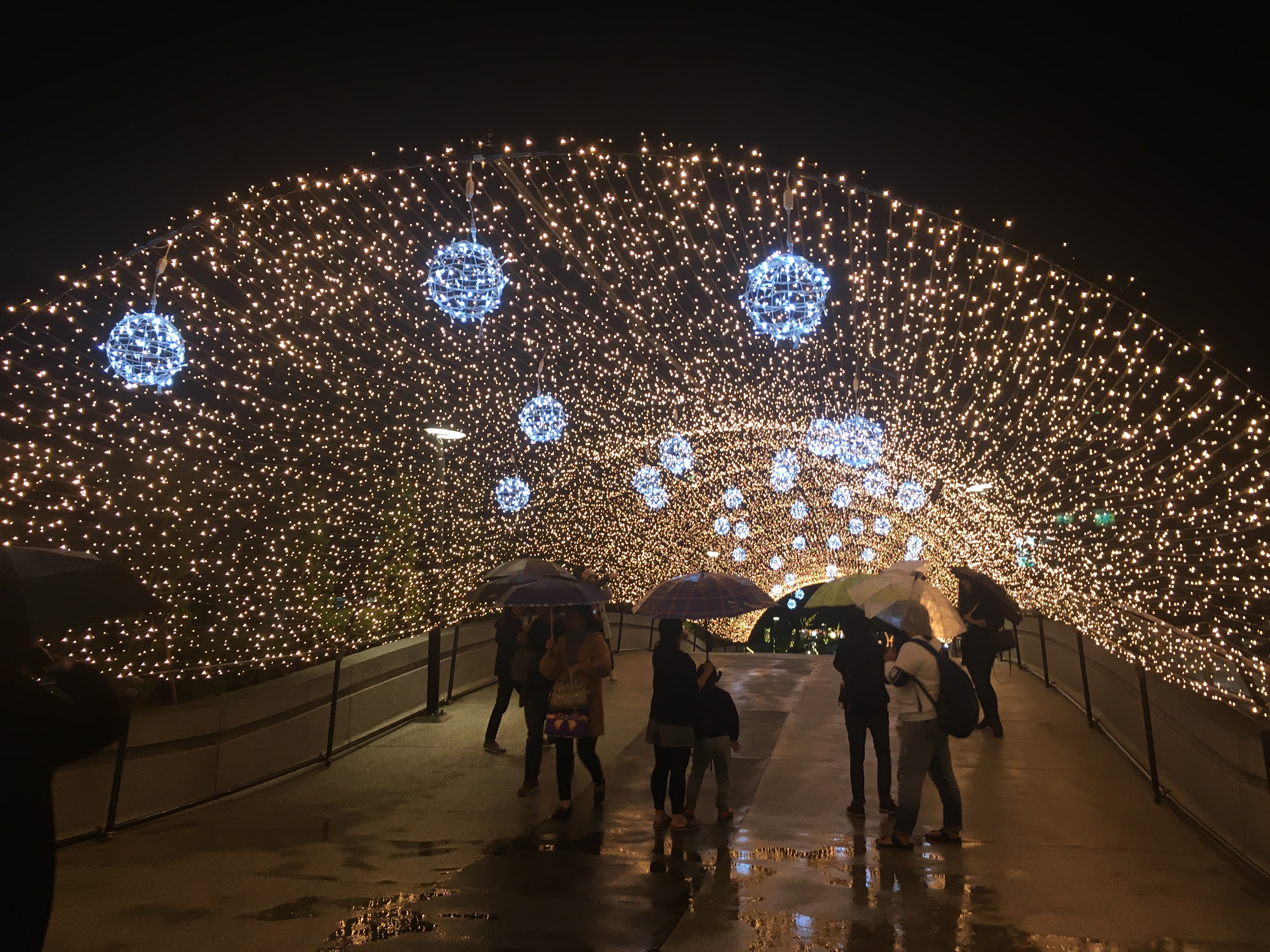 숙소-근처-야경