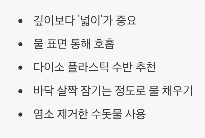 배양통 준비, '넓고 얕은' 수반이 최고