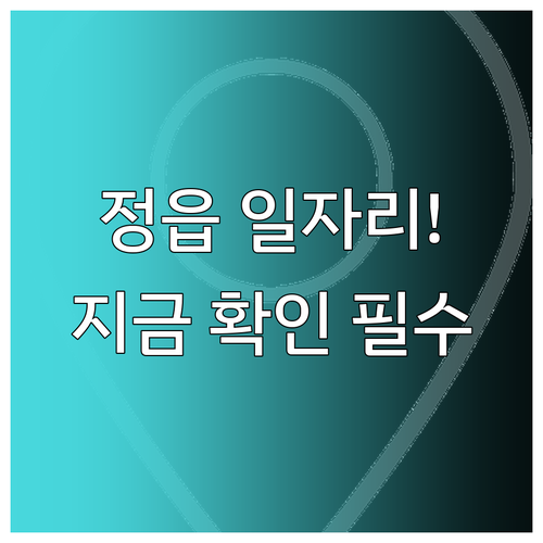 정읍 지역 맞춤 일자리 찾기 정읍 교..